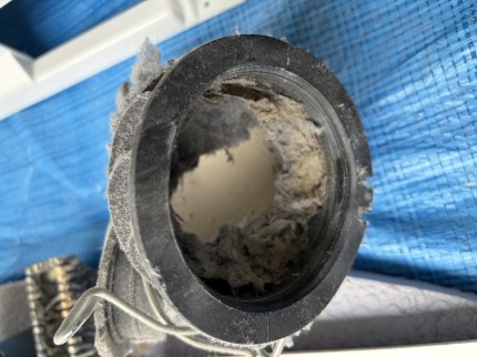 IMG_3496-e1773713641934