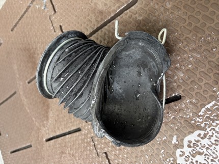 IMG_3512-e1773713693233