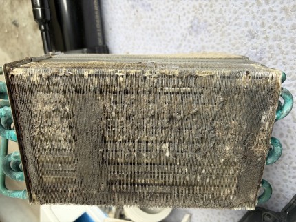 IMG_3515-e1773713559523